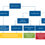 Structure And Asset Protection Benefits Of Tursteed And Custodial IRAs