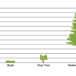 Featured Image Bushes, Pear Trees, and Redwoods